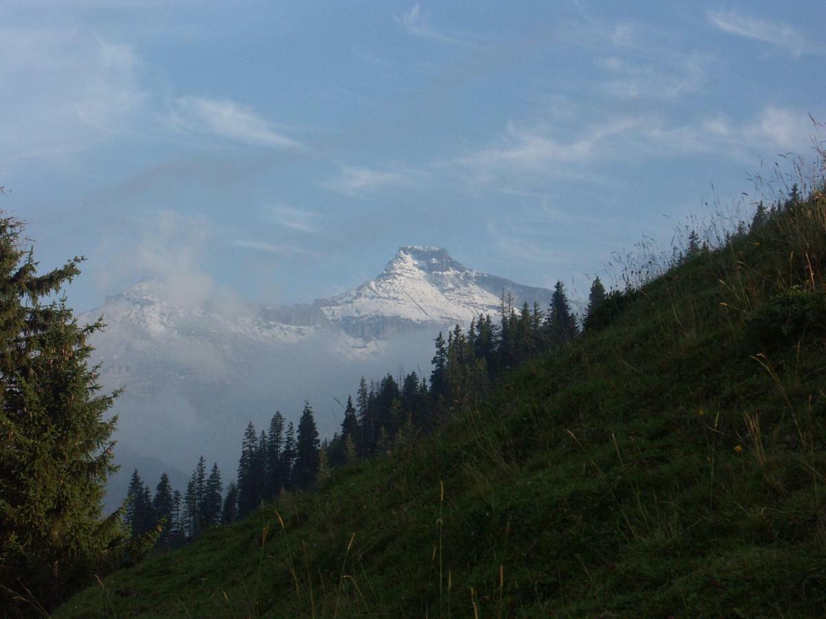 Pension Sonne Adelboden Ngoại thất bức ảnh